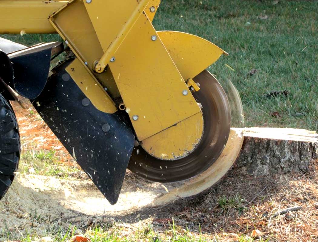 Stump-Grinding